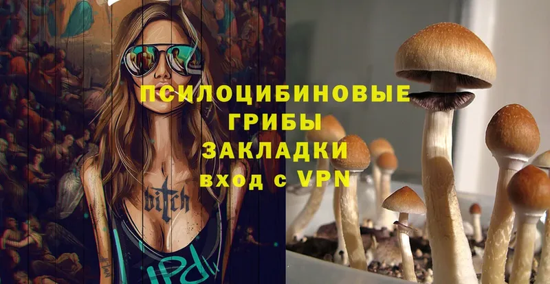 Галлюциногенные грибы Psilocybe  даркнет какой сайт  Анапа 